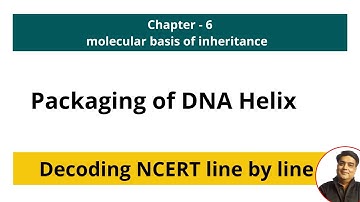 Packaging of DNA Helix -Distance between two consecutive base pairs in a DNA= 0.34 nm