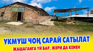 800-1000 башка чейин БУКА баткан чоӊ САРАЙ сатылат  ~ Жери ѳтѳ КЕНЕН экен ~ ВАРИАНТ бар