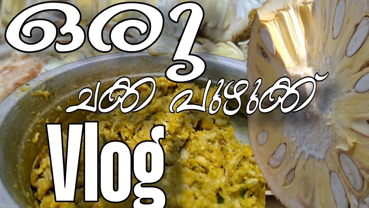 ഒരു ചക്കപ്പുഴക്ക് വ്ലോഗ് കണ്ടാലോ😀✨