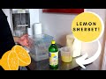 We Made A Delicious Lemon Sherbet!