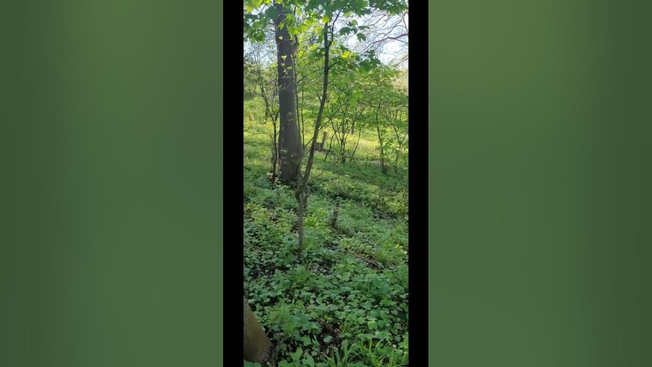 дуже гарно, така гарна погода і природа - YouTube