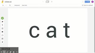 Closed Syllable Review: Single Syllable Words
