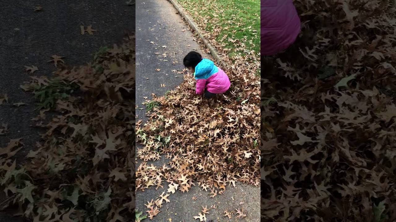Download Daddy's little helper - YouTube
