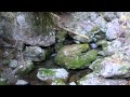 自然の音景色L せせらぎ(長時間) Nature Sound
