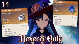 Let The Pain And Suffering Begin [Genshin Impact Hexerei Only]