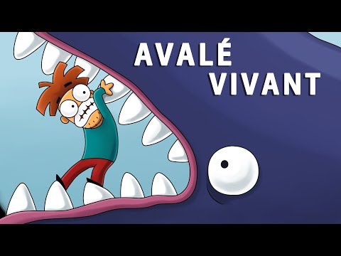 Et Si La Baleine Vous Avalait Vivant