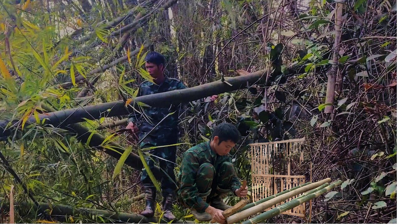 Строительство бамбуковых ворот для моего дома