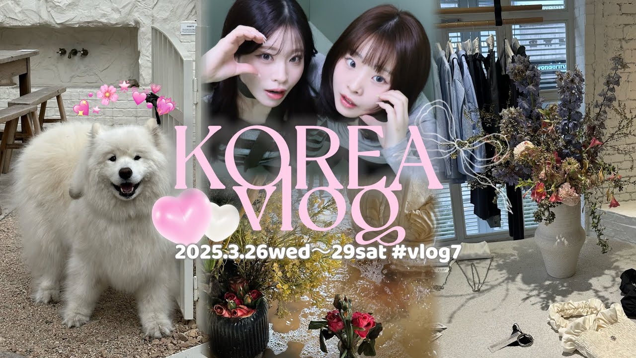 【vlog#7】何回行っても楽しいね🇰🇷^ᴗ.ᴗ^❤︎【韓国語字幕】【한국어자막】