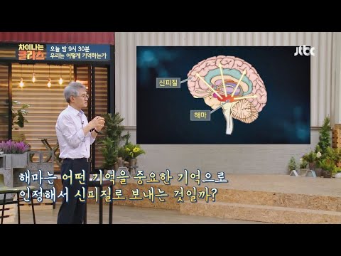 [선공개] 뇌 속의 해마가 인정하는 ′중요한 기억들′은↗ 차이나는 클라스(jtbclecture) 126회