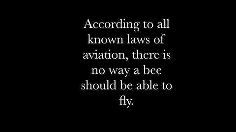 The Bee Movie Script one sentence a day | Part #1