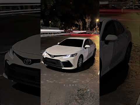 قلبي يبكي ينوح