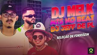 SELEÇÃO DE FORRÓZIN - DJ MELK - DJ JEFFDEPL - MTS NO BEAT - AS MELHORES PRA TOCAR NO PAREDÃO 2024