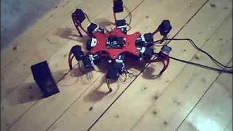 Phoenix hexapod turning test