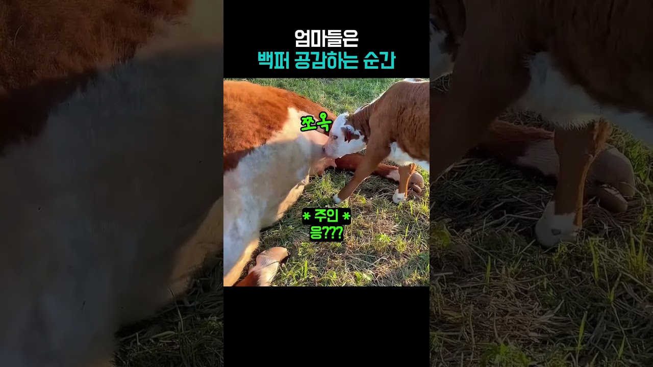눈만 감았다 떳을 뿐인데..#직장인공감 #엄마백퍼공감 #육아
