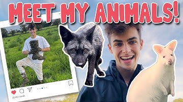 A Day at the Zoo: Meet My Animals and See Our Progress! | Kyle Thomas