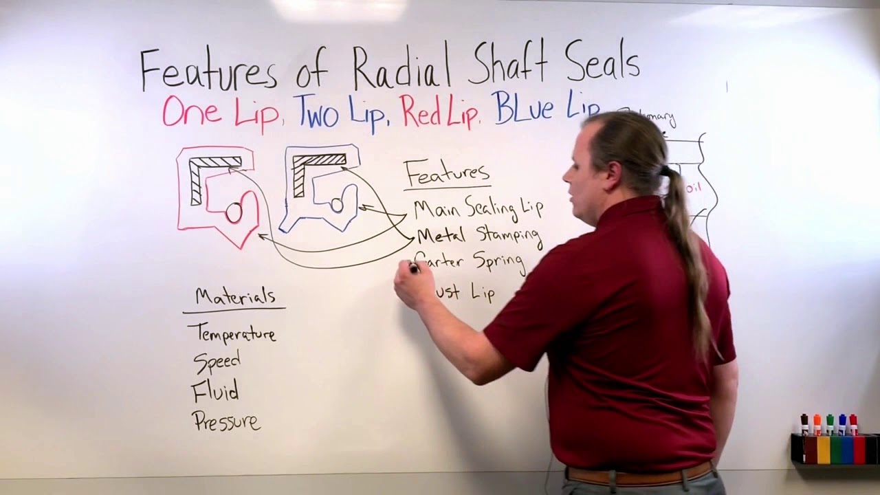 Radial Shaft Seal Misalignments | ESP International