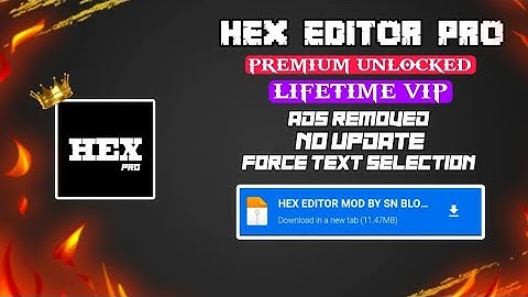 HEX EDITOR MOD | HEX EDITOR PRO MOD LATEST VERSION 2.8.3 | @snbloodmoon