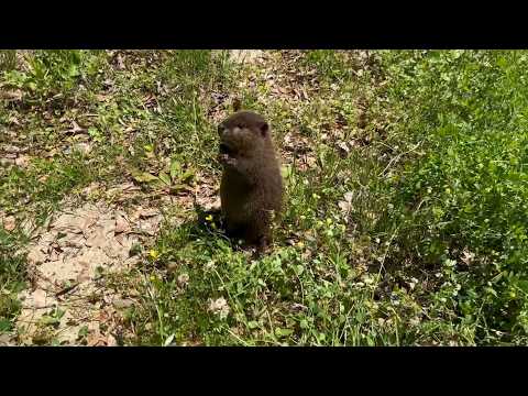 Throwback to Sprout and Blossom's first time exploring outside