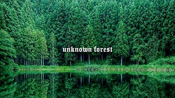 Nuke - unknown forest