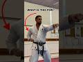 What Is Hikite Karate Shotokan Martialarts Technique Tips