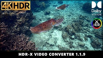 [4K HDR Dolby Vision] Sony Beautiful Sea In Okinawa DEMO - Made with HDR-X Video Converter ©