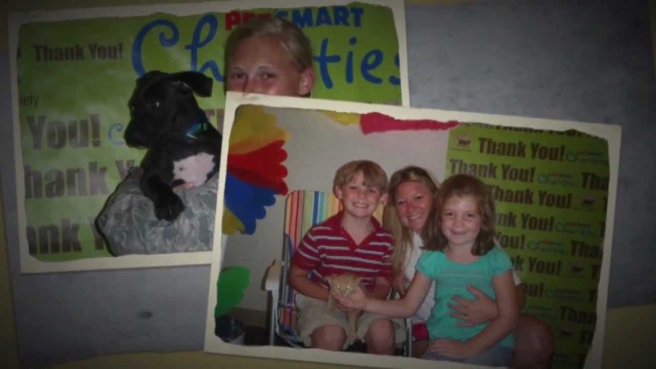 Fee Waived Adoptions Save Lives YouTube Fee Waived Adoptions Save Lives YouTube