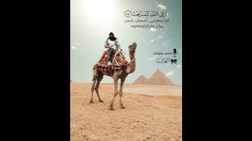 القارئ محمد سليمان الكردي/ ما شاء الله....