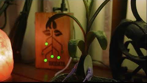 Microclima 2 - Relaxing Generative Ambient with Biodata - Microtonal - 7edo