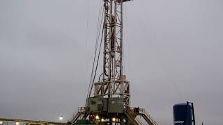 Cactus drilling