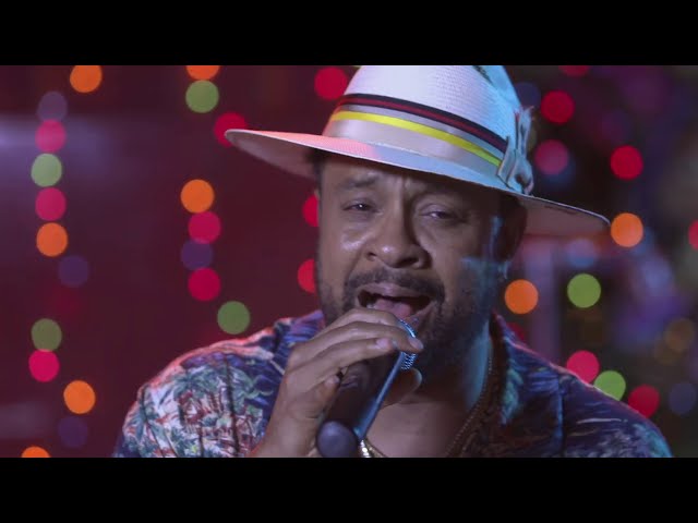 欧LP Shaggy Christmas In The s 4050538702583 BMG /00260 Shaggy-Christmas In The Islands Deluxe Edition CD (Autographed