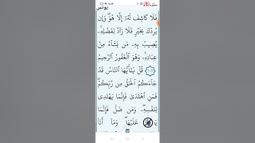 آخر سورة يونس صفحه (٢٢١)