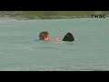 2020 Goode U.S. Water Ski Nationals - EVENT ARCHIVE : Trick (Lake 1)