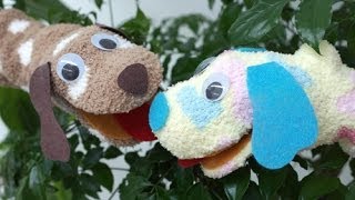 Sock Puppet Puppy
