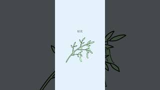 黄色の願い/Kagamine Len(鏡音レン)