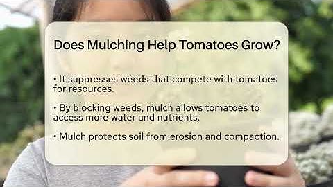 Does Mulching Help Tomatoes Grow? - The Plant Enthusiast