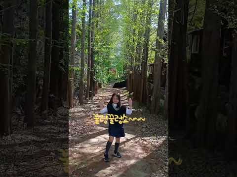 🍜🍚🥟🐹Whistle 챌린지 (feat.파주)