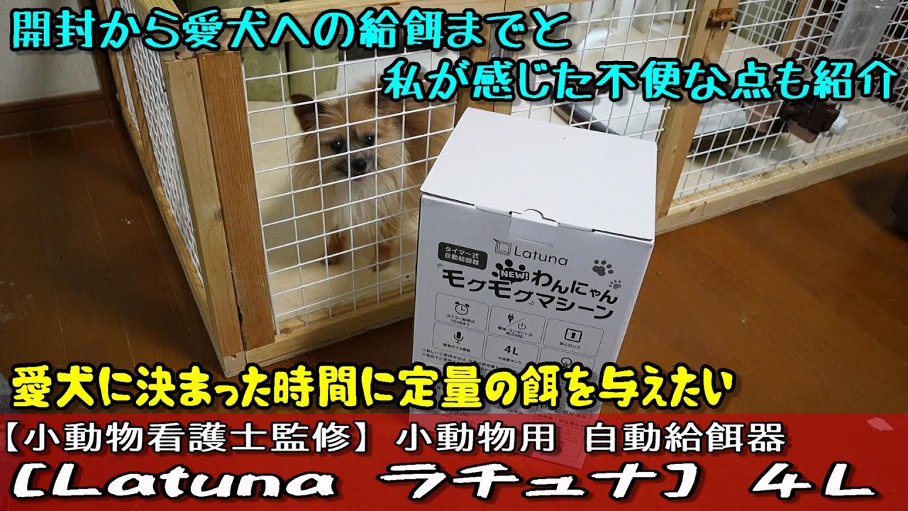 小動物用自動給餌器【小動物看護士監修】Latuna ラチュナ4L 購入
