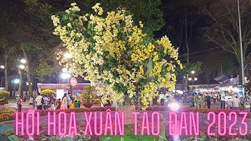 Hội Hoa Xuân Tao Đàn Năm 2023 Có Nhiều Cây Cảnh Đẹp | Nhật Kí Du Lịch TV #169