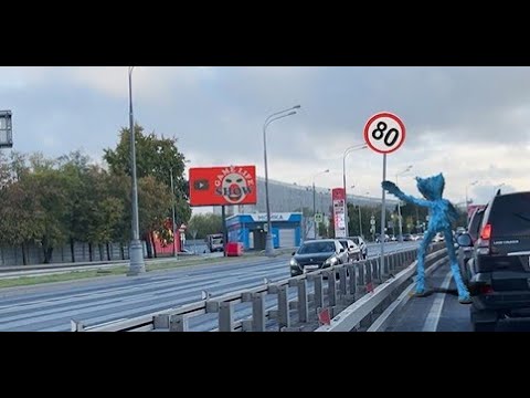 Настоящий живой говорящий