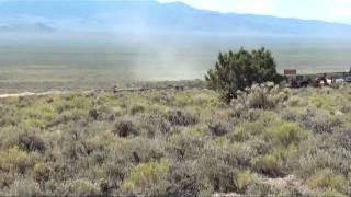 Tripe B Wild Horse Roundup August 2, 2011