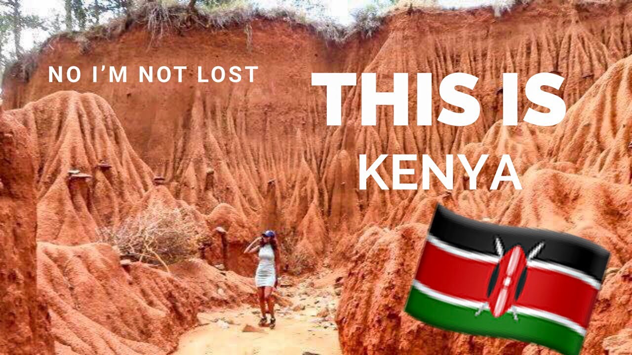 VISITING OL JOGI RANCH IN KENYA ((ONLY Bear in AFRICA)