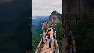 Disaster Strikes With Thousands On Forest Bridge As It Collapses