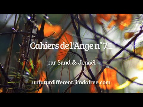 cahier-7.1---l'accélération-du-temps-information,-et-l'enseignement-par-le-verbe