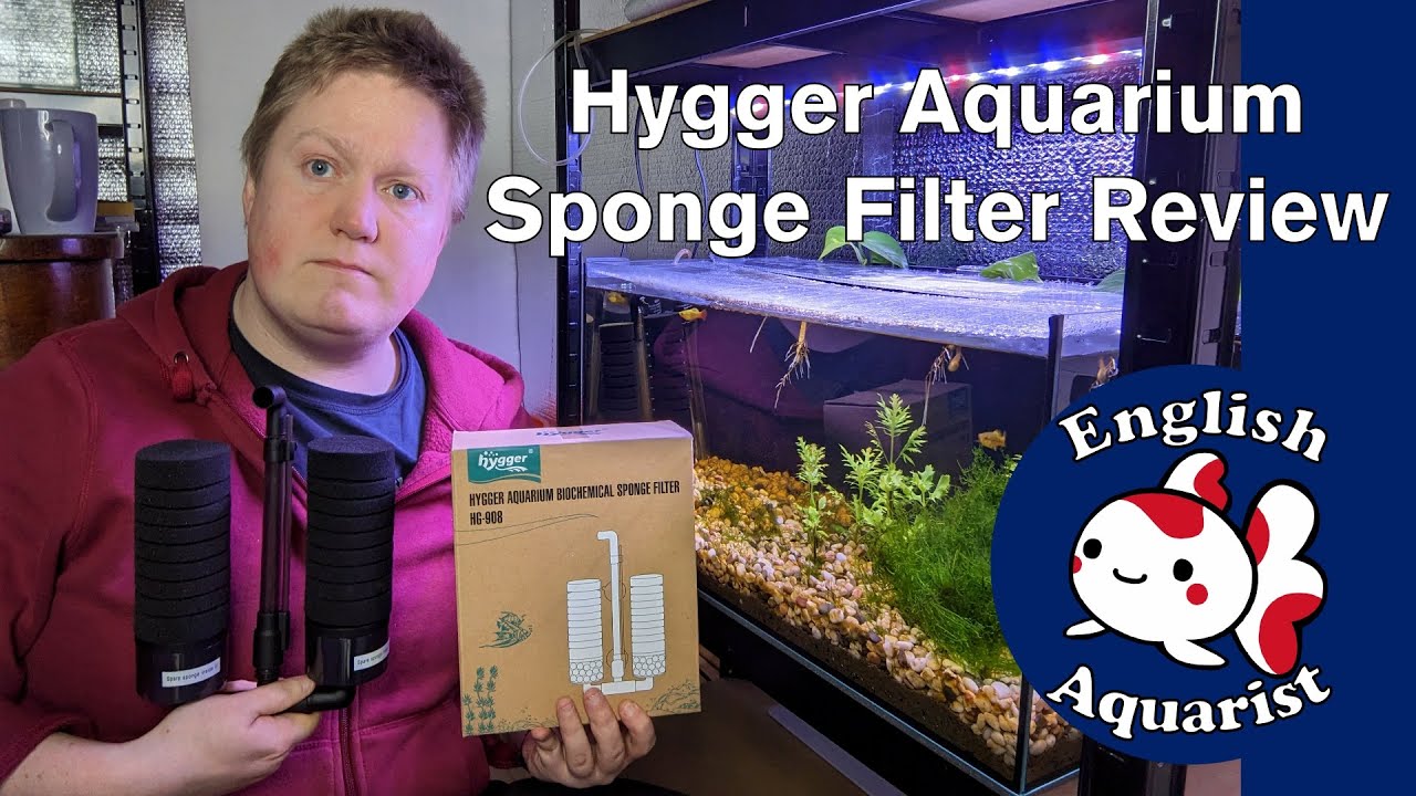 Hygger Aquarium Sponge Filter Review YouTube