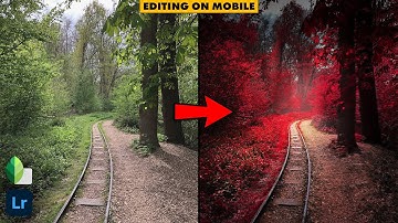 Changing Colors with a Dramatic Look in SNAPSEED and LIGHTROOM MOBILE (free apps) | Android | iPhone