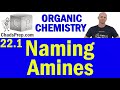 22.1 Naming Amines | Organic Chemistry