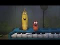 LARVA - Animation drôle | THE LARVA'S CONCERT | Cartoons pour enfants | LARVA Officiel