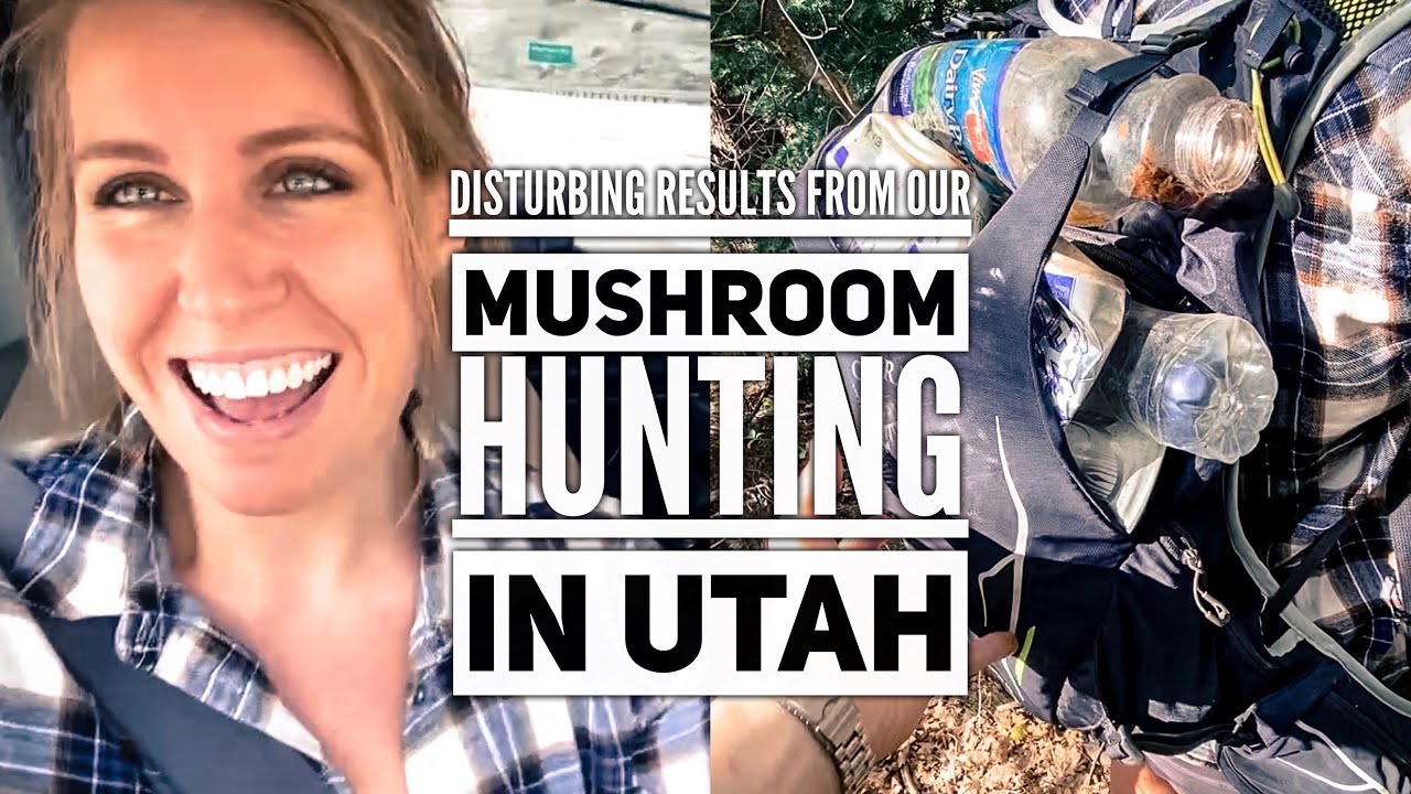 Mushroom Hunting in Utah (LNT and trash collecting)