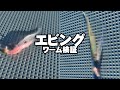 【エビング検証】ワームを３種テストしてみた（2025/09/10・五エム丸）