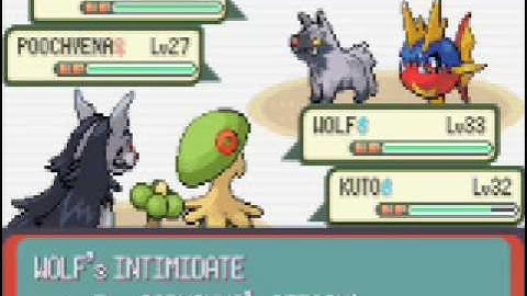 Pokemon Emerald Walkthrough Part 34:The Weather Institute